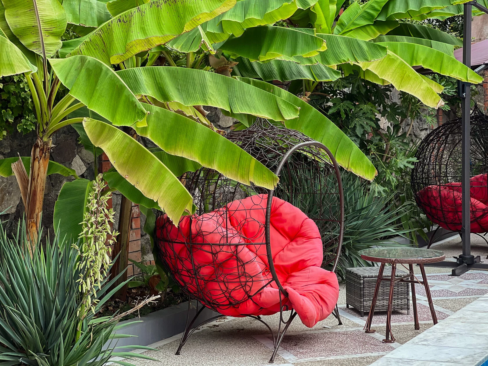 . Отель "СЕНАТОР". Сочи