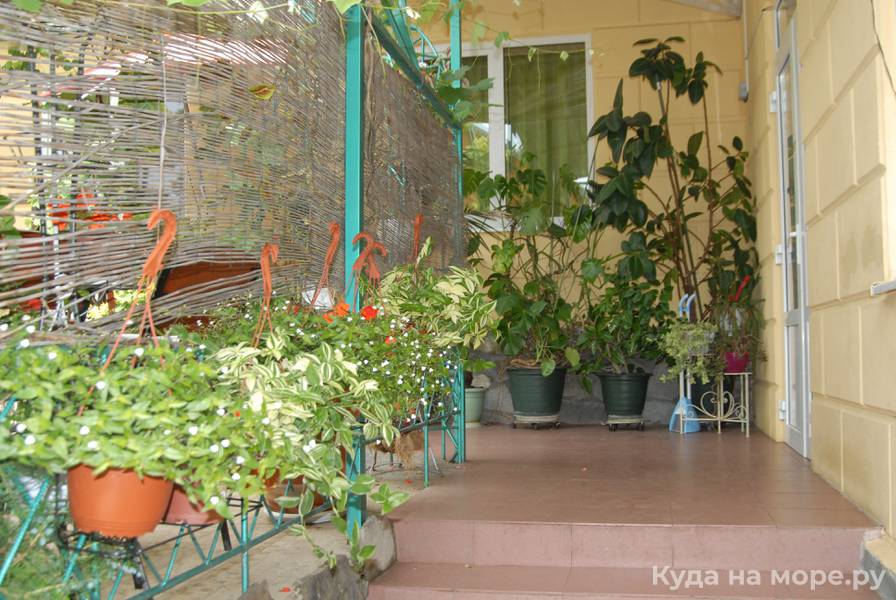 № 36 Стандарт 2-х местный мансардный. Гостевой дом «Фламинго». Архипо-Осиповка № 36 Стандарт 2-х местный мансардный. Гостевой дом «Фламинго». Архипо-Осиповка