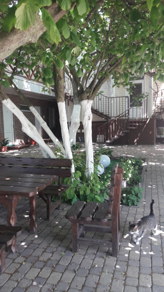 . Частный сектор "АБСОЛЮТ". Благовещенская