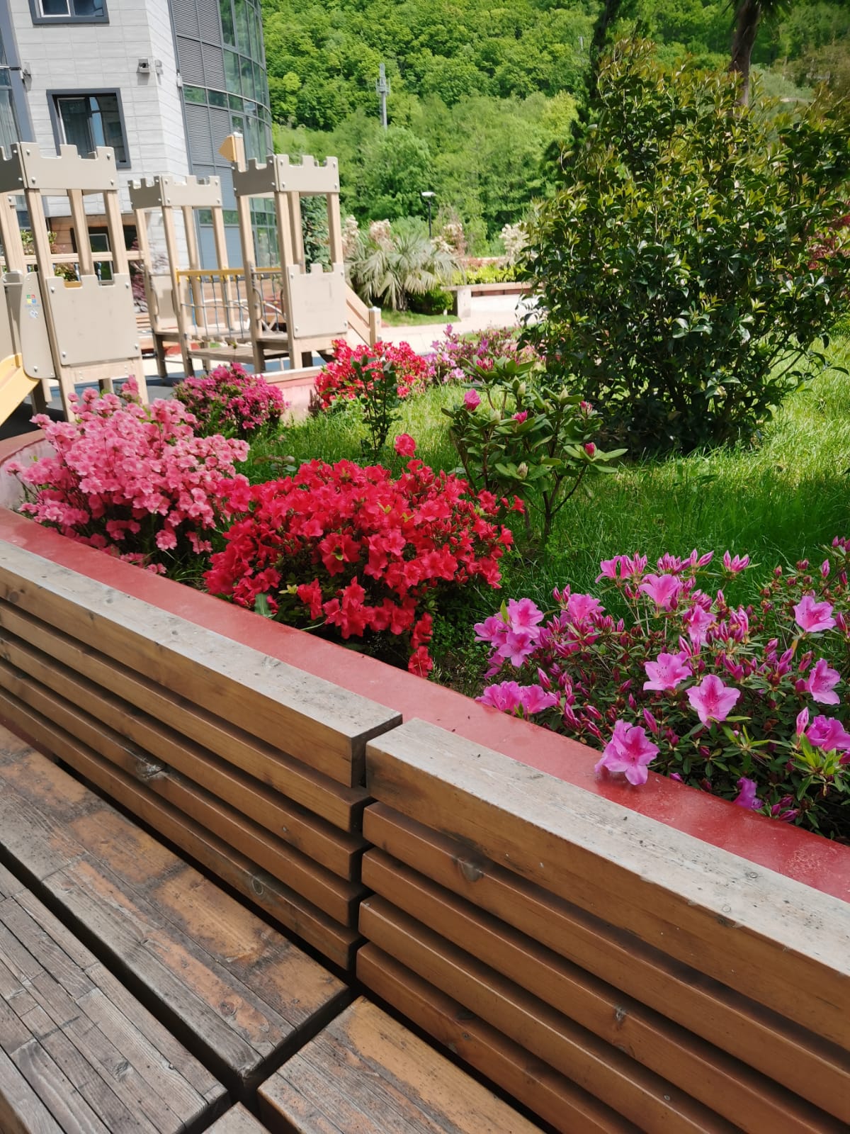 . Квартира в многоквартирном доме Сан Хилс. Небуг