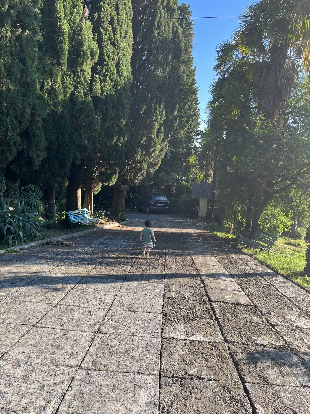 . Гостевой дом "Сосновый рай" . Гагра