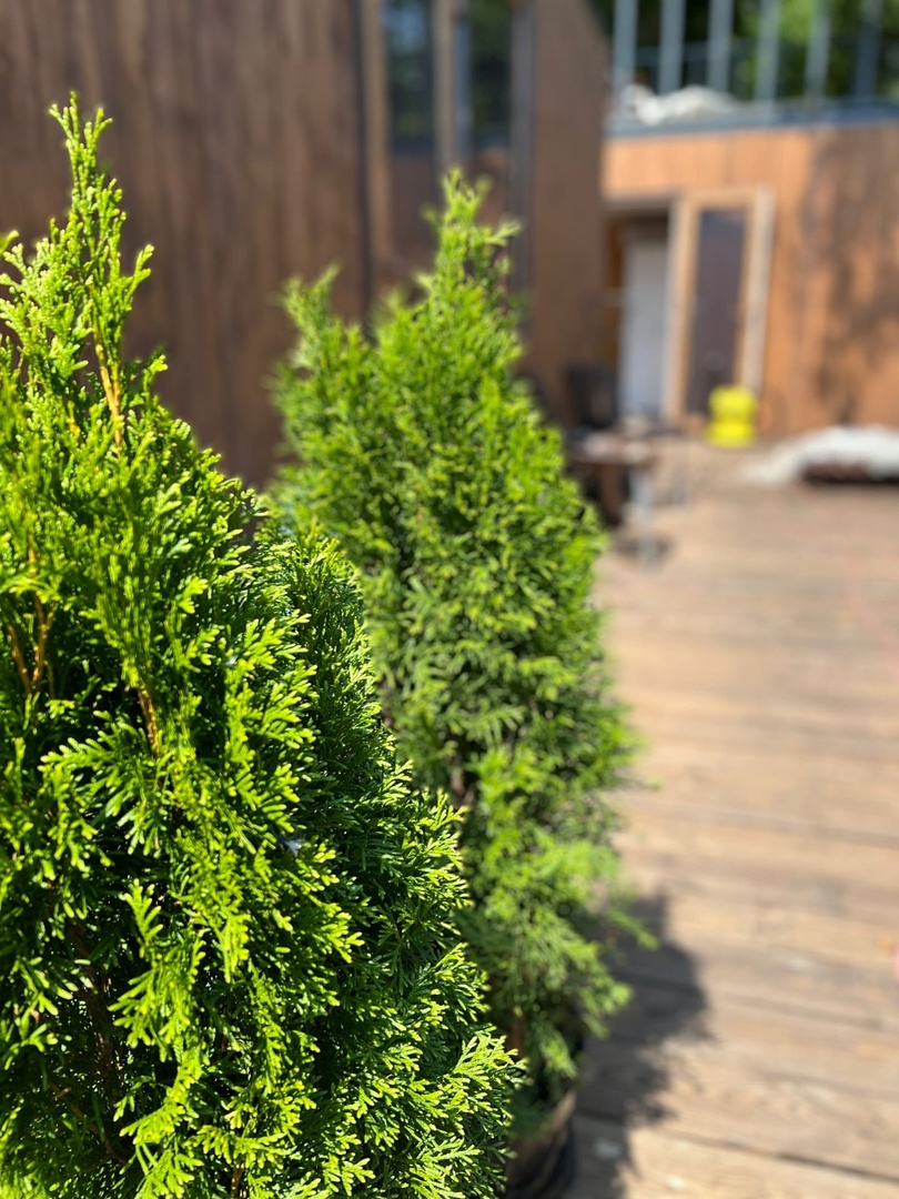 . Гостевой комплекс "Атмосфера". Сухум