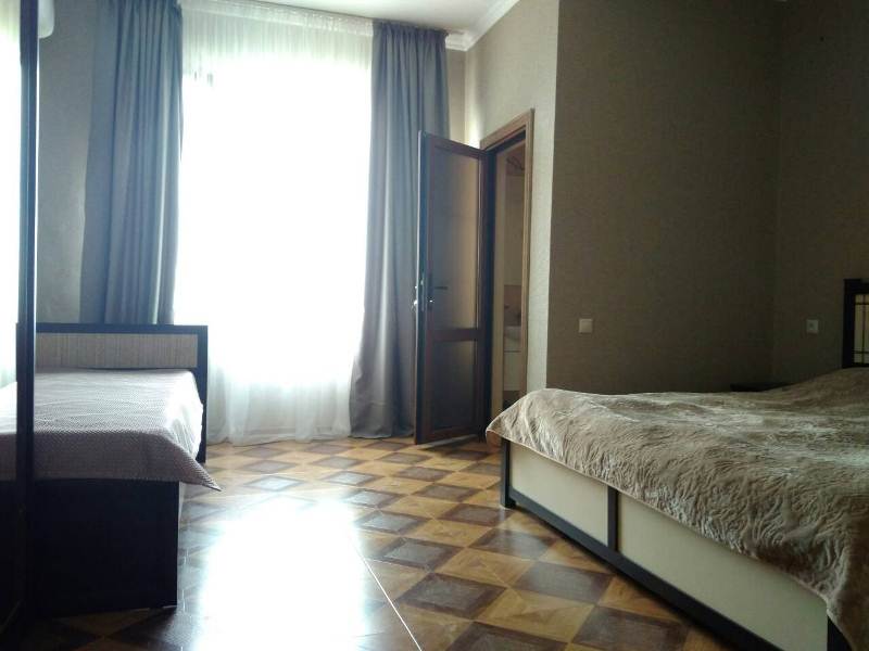 Стандарт. Гостевой дом София-Виктория. Гагра