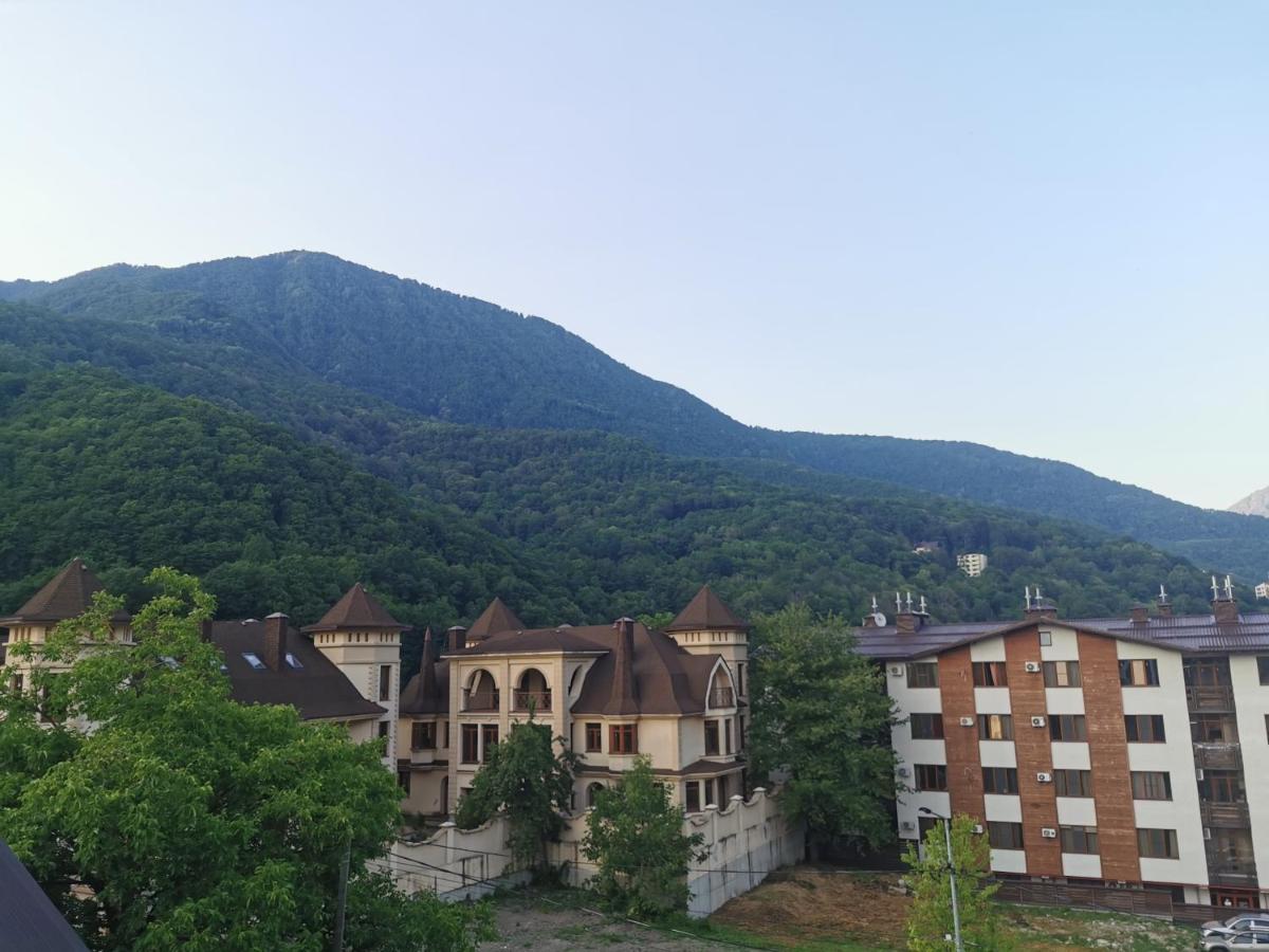 . Апарт-отель "Благодарный круглый год". Красная Поляна