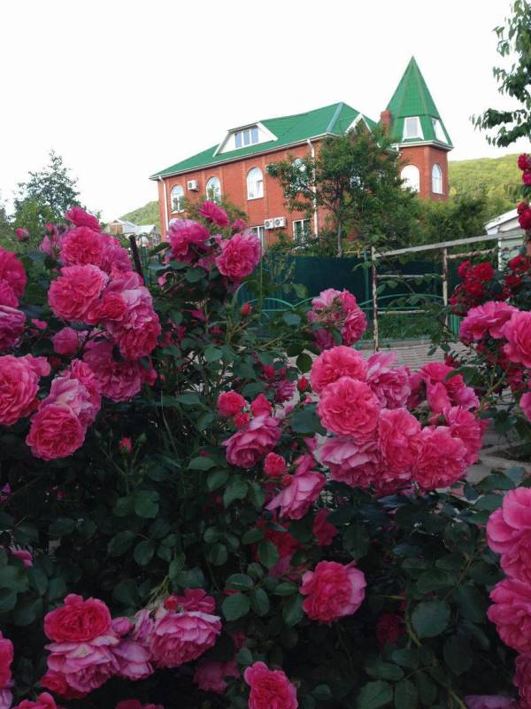 . Гостевой дом "ЮрГа". Агой