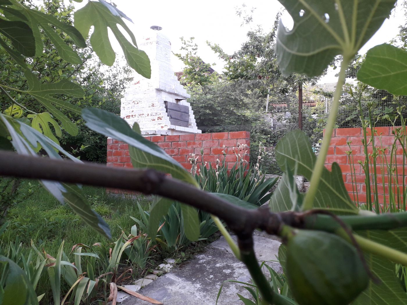 . Гостевой дом МОРЕ с бассейном и баней. Джубга