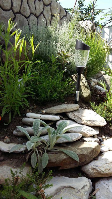 . Гостевой дом "Солнечная дача". Агой