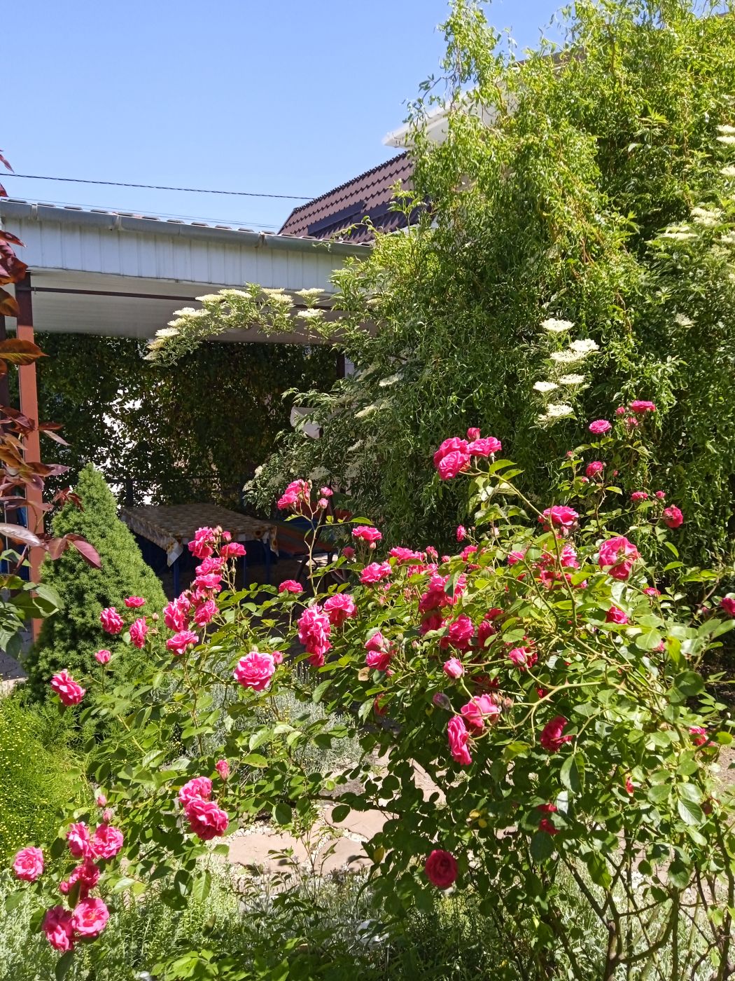 . Гостевой дом "Ирина". Крым - частный сектор