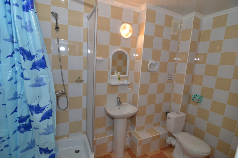 2-местный номер. Гостевой дом «В гостях у Тихона». Заозерное