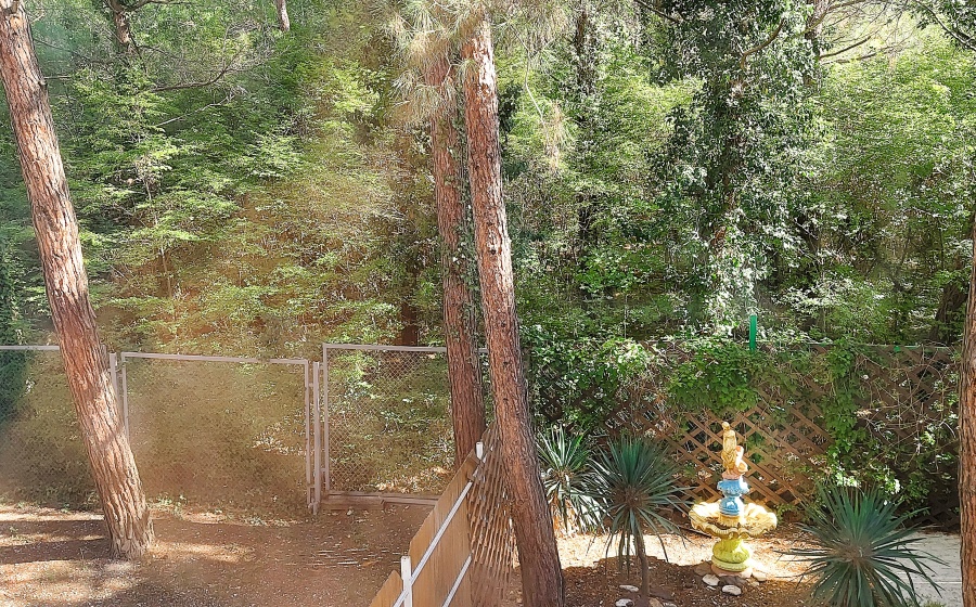 . Частный сектор Сахар. Геленджик