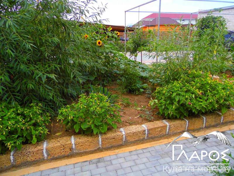 . Бунгало парк «ΓΛΑΡΟΣ». Береговое