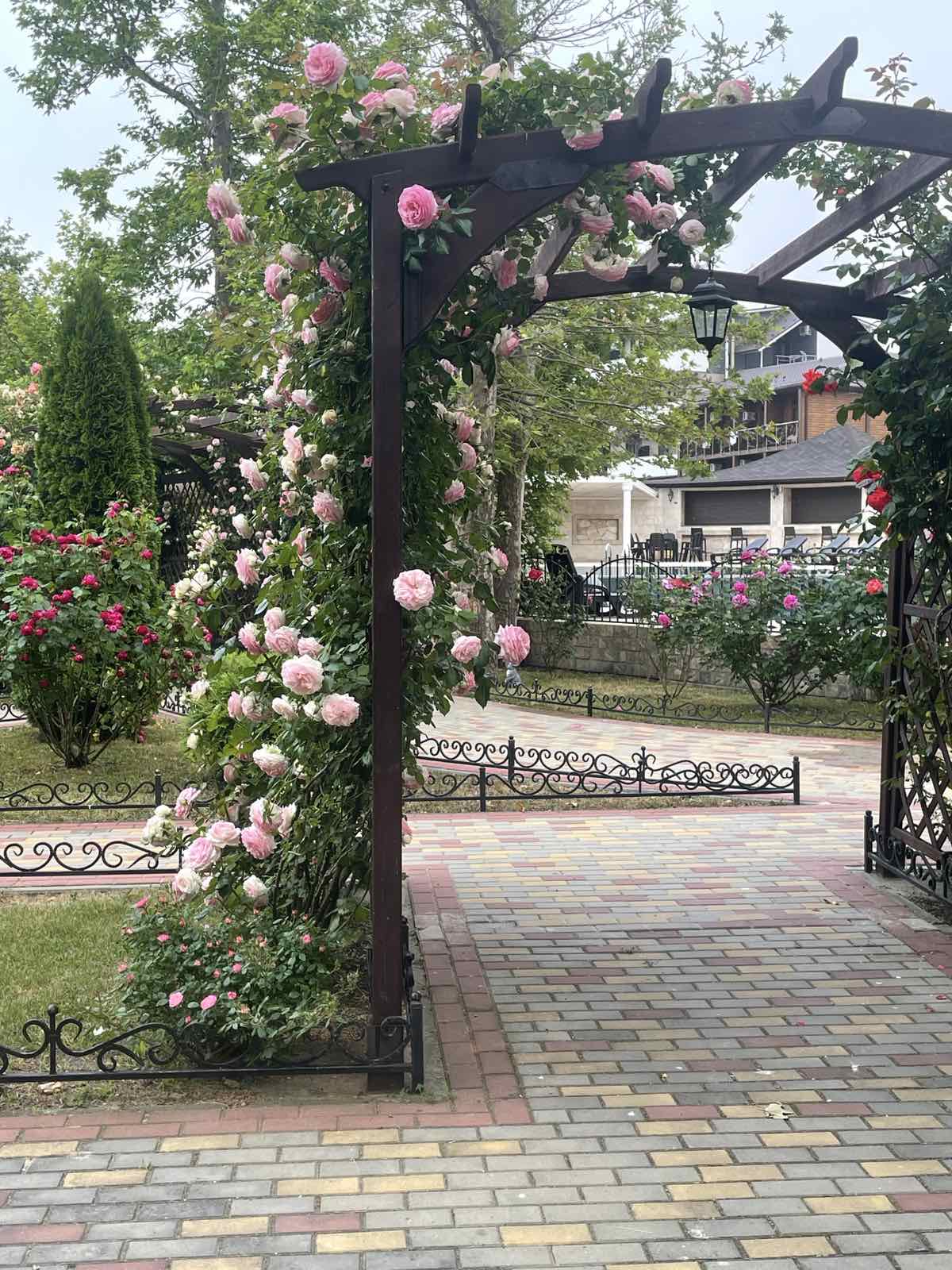 . База отдыха "Платан Resort". Витязево