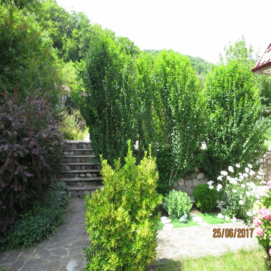 . Гостевой дом "Нэста". Небуг