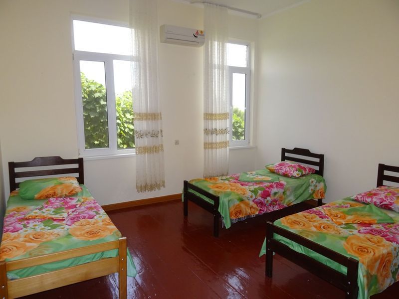 . Частный сектор Братьев Джинджолия 50. Новый Афон