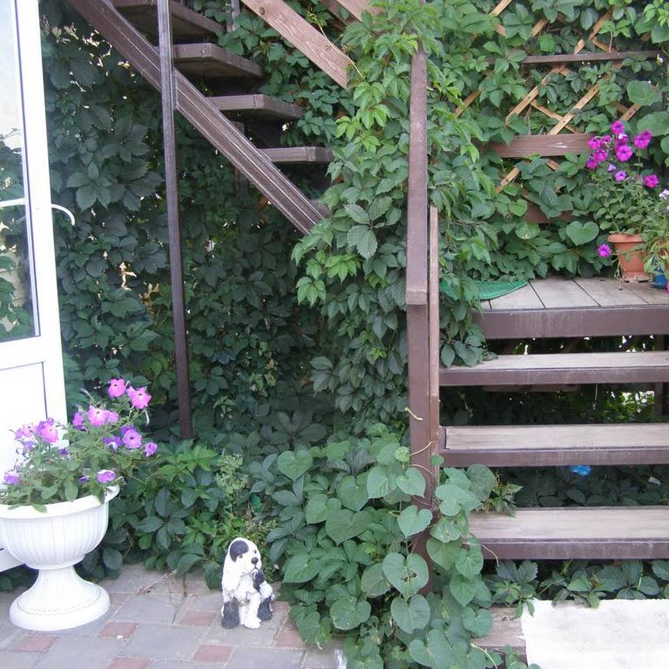 . Гостевой дом "Семья" - Должанская. Должанская