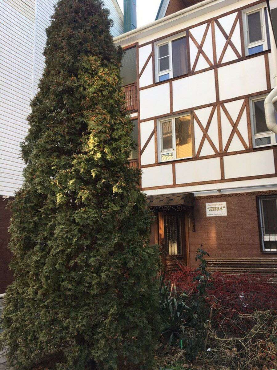 . Гостевой дом "Лиза" . Нижнее Джемете