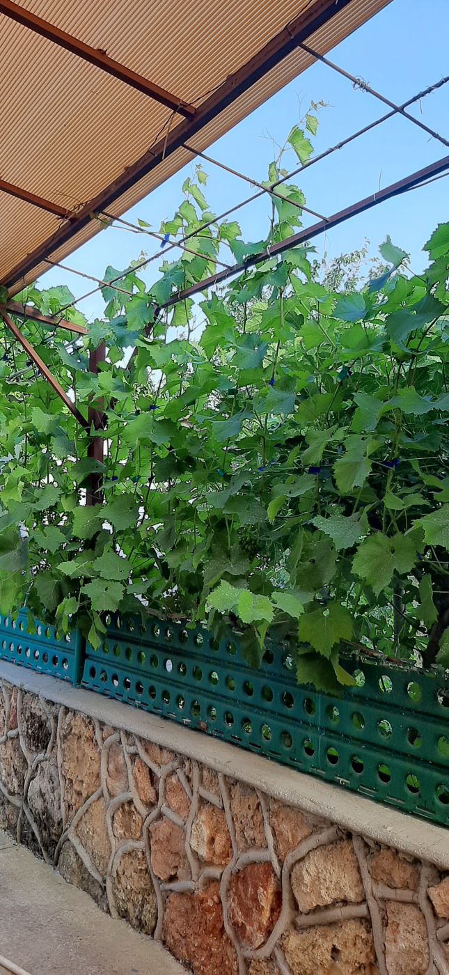 . Дом под ключ Домик со всеми удобствами Черноморское , с.Новосельское , ул.Новая , д.4. Крым - частный сектор