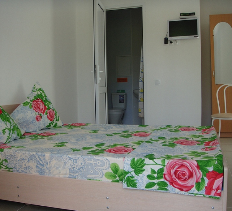 Стандарт. Частный гостевой дом Розовый дом. Солоники