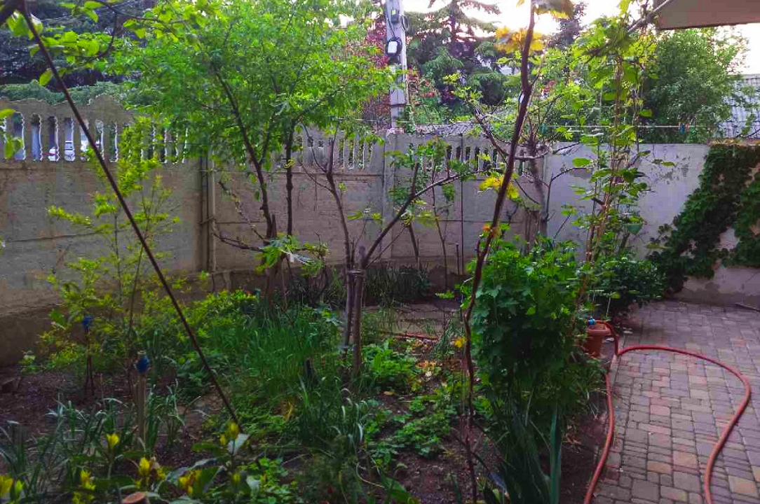 . Гостевой дом «Вояж». Алушта