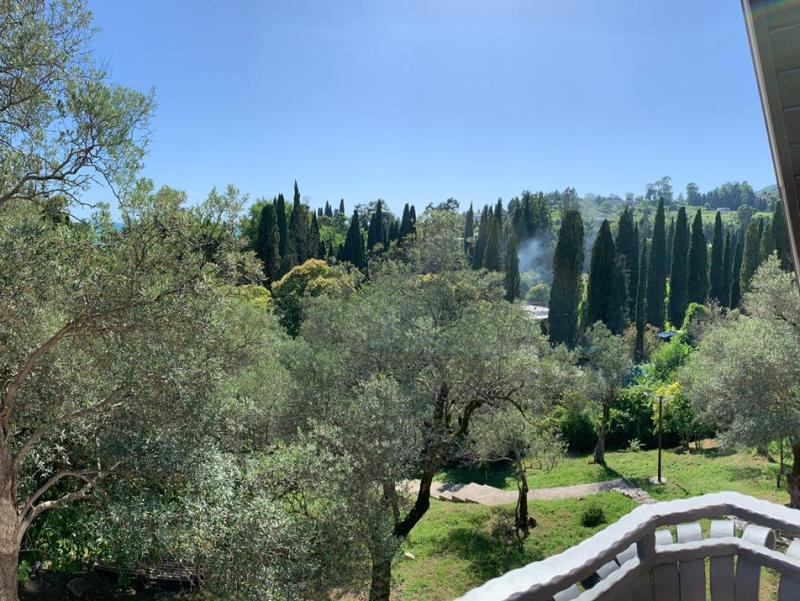 . Гостиница "Guest house Maslina". Новый Афон