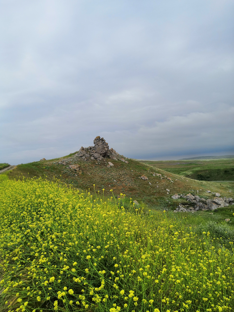 . Гостевой дом «Казантипская хижина». Керчь