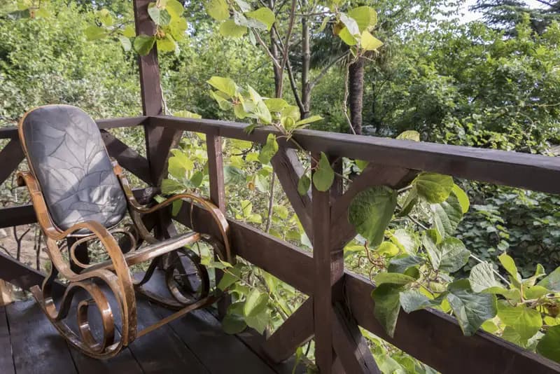 Дом Манича на 4 места. Частный сектор "Новые горизонты в Сосновом бору" . Чемитоквадже