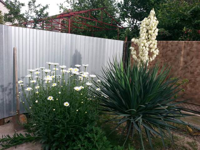 . Частный сектор «Дюшес». Джубга