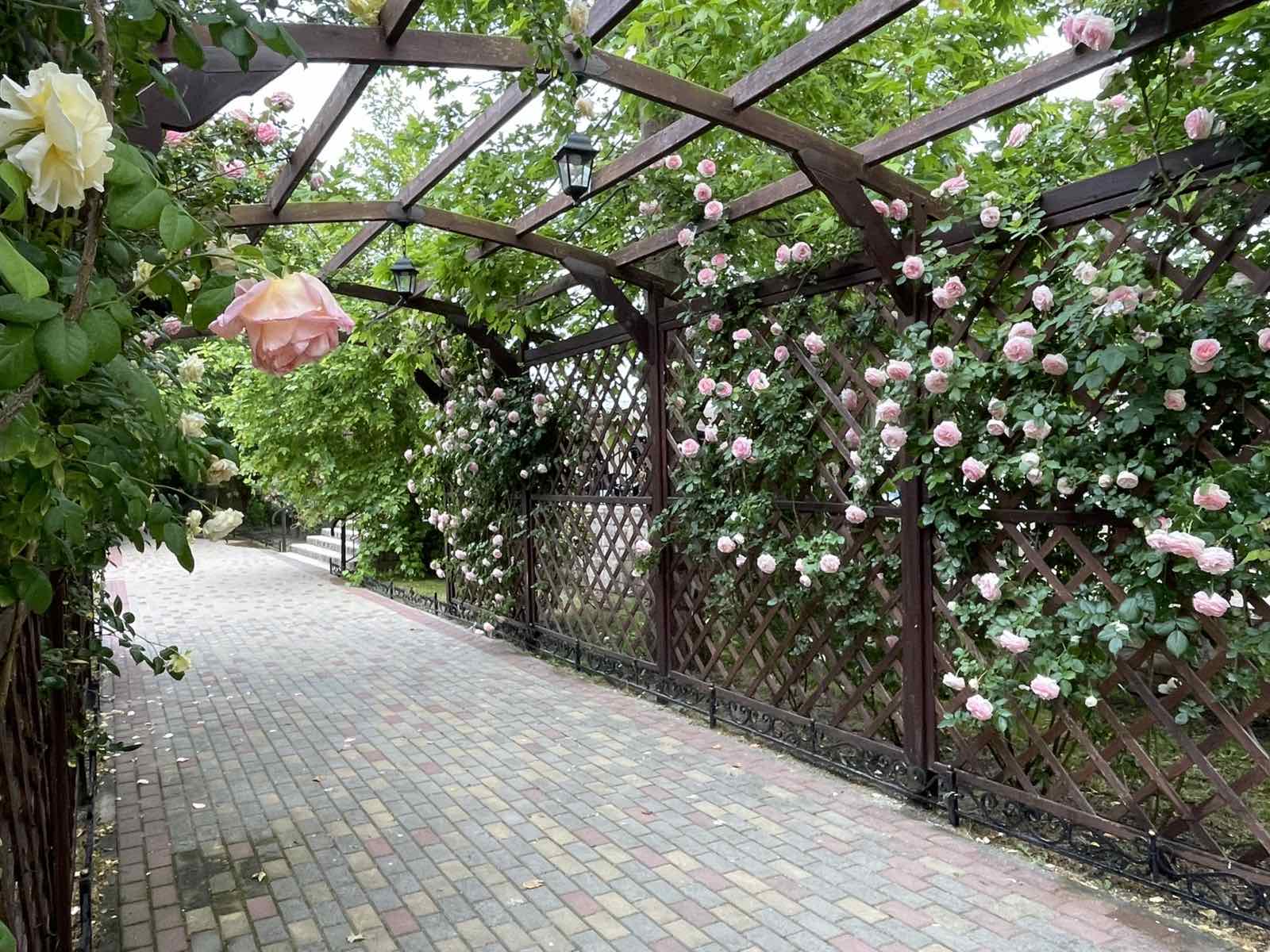 . База отдыха "Платан Resort". Витязево