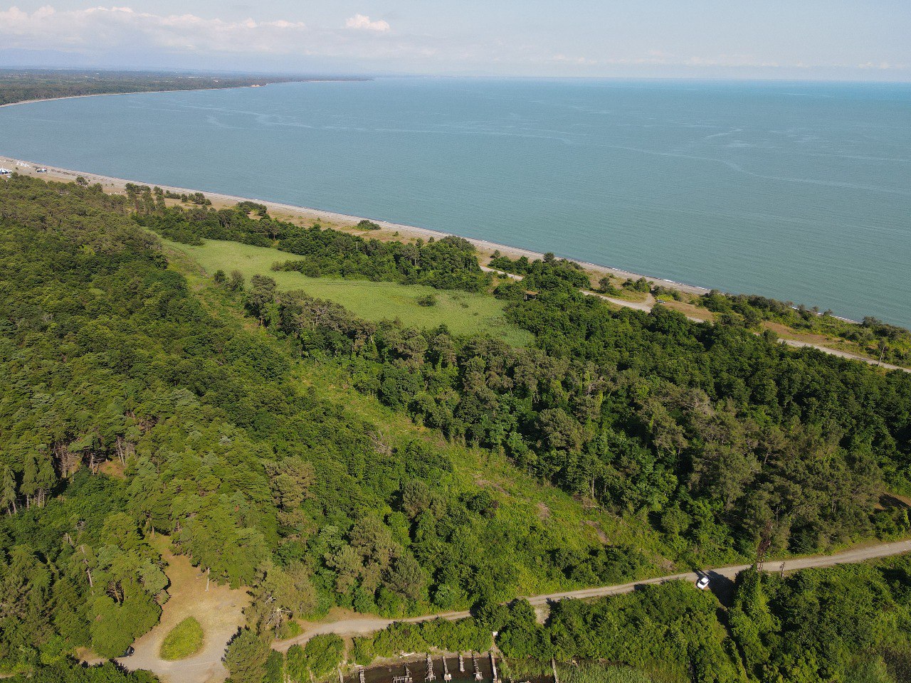 . База отдыха Сосновый бор. Сухум