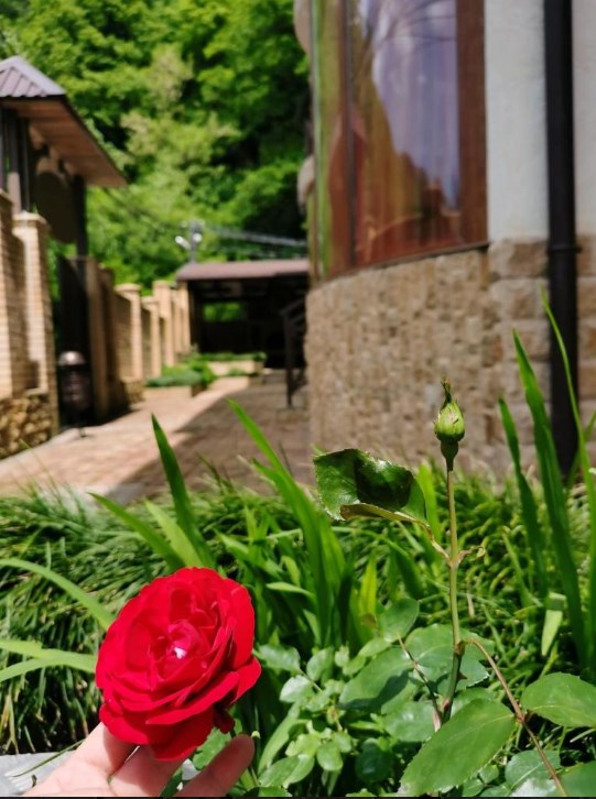 . Отель Отель Green Hall. Красная Поляна