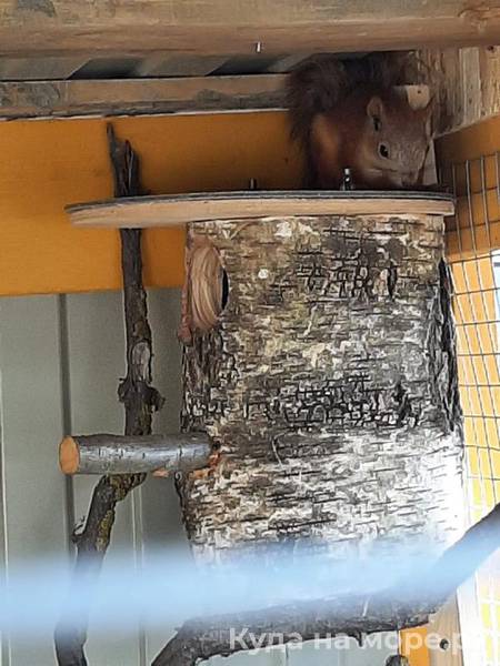 . Частный сектор Должанская Коса . Должанская