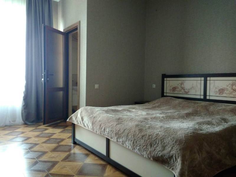 Стандарт. Гостевой дом София-Виктория. Гагра