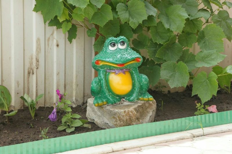 . Гостевой дом "Алина" в Джубге       . Джубга