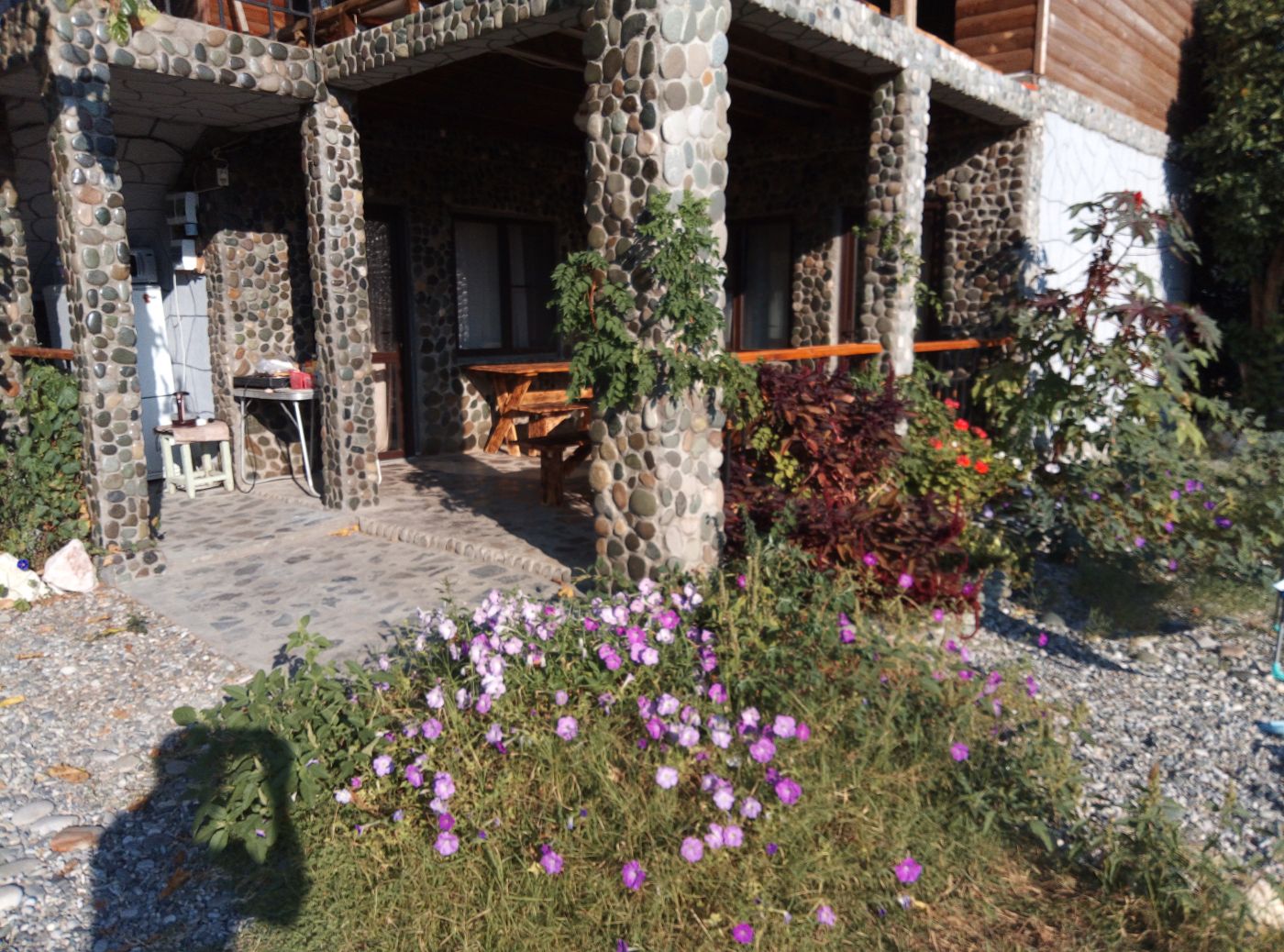 . Гостевой дом Лотос . Пицунда