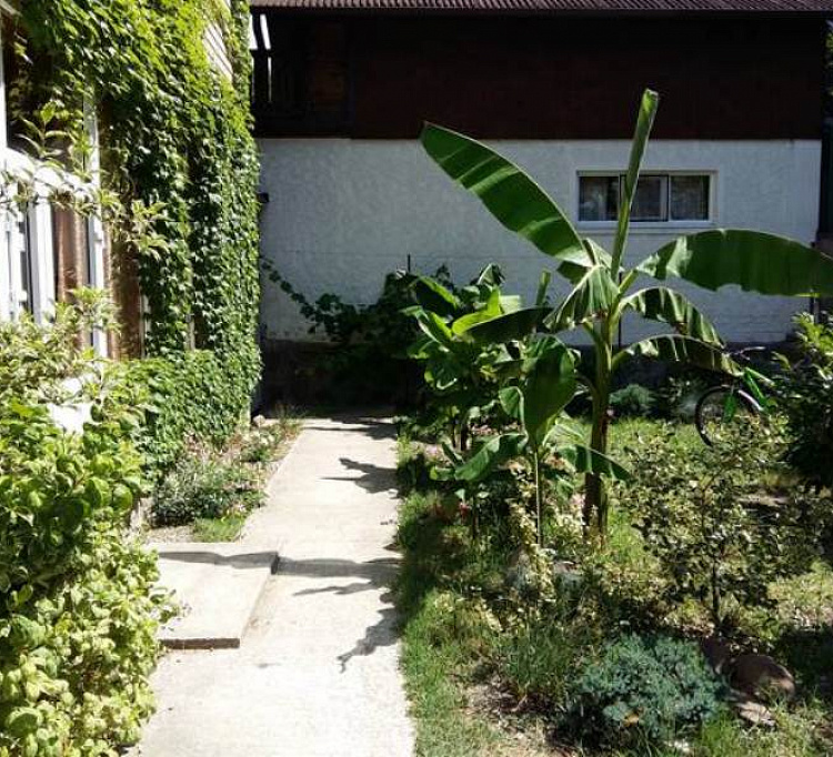 . Гостевой дом "Морской бриз" - Пляхо. Пляхо