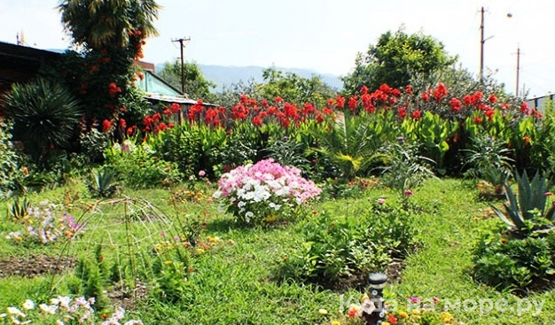 . Гостевой дом «У Руслана и Джульетты». Пицунда