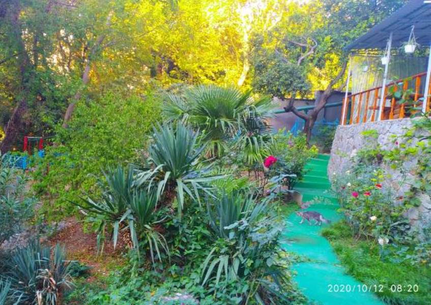 . Гостевой дом Сувенир. Гаспра