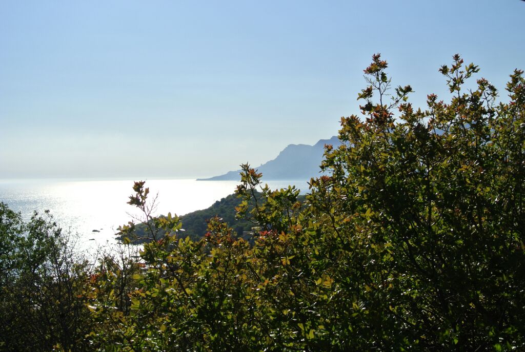 Коттедж. Гостевой дом ПОНИЗОВКА. Понизовка