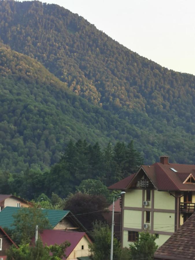 . Апарт-отель "Благодарный круглый год". Красная Поляна