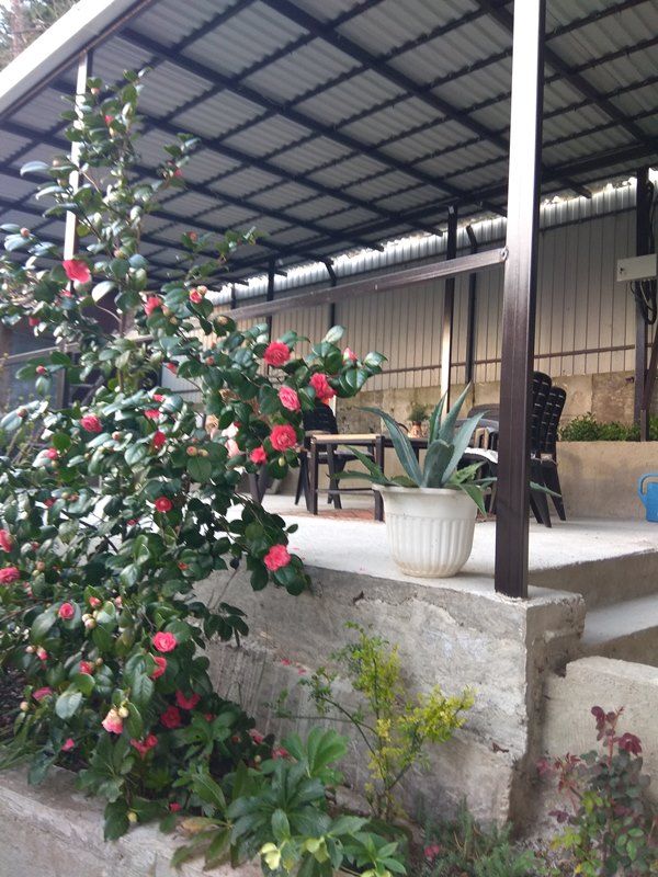 . Частный сектор Авроры 1/3. Аше