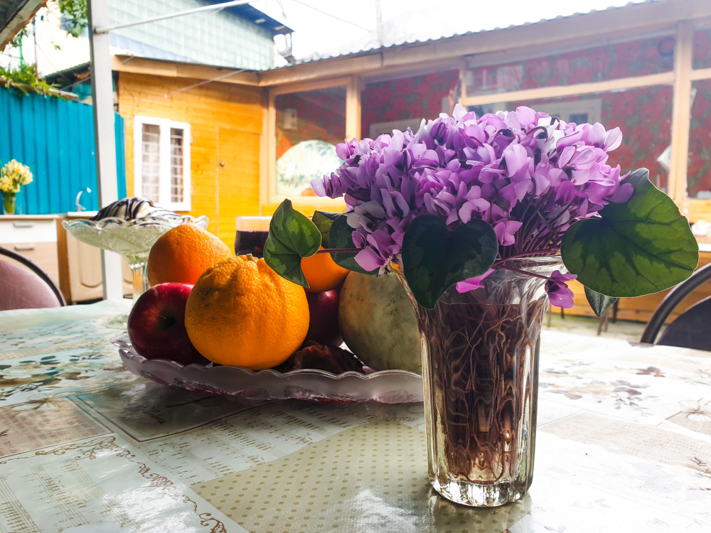 . Дом под ключ FIESTA SEA. Гагра . Дом под ключ FIESTA SEA. Гагра