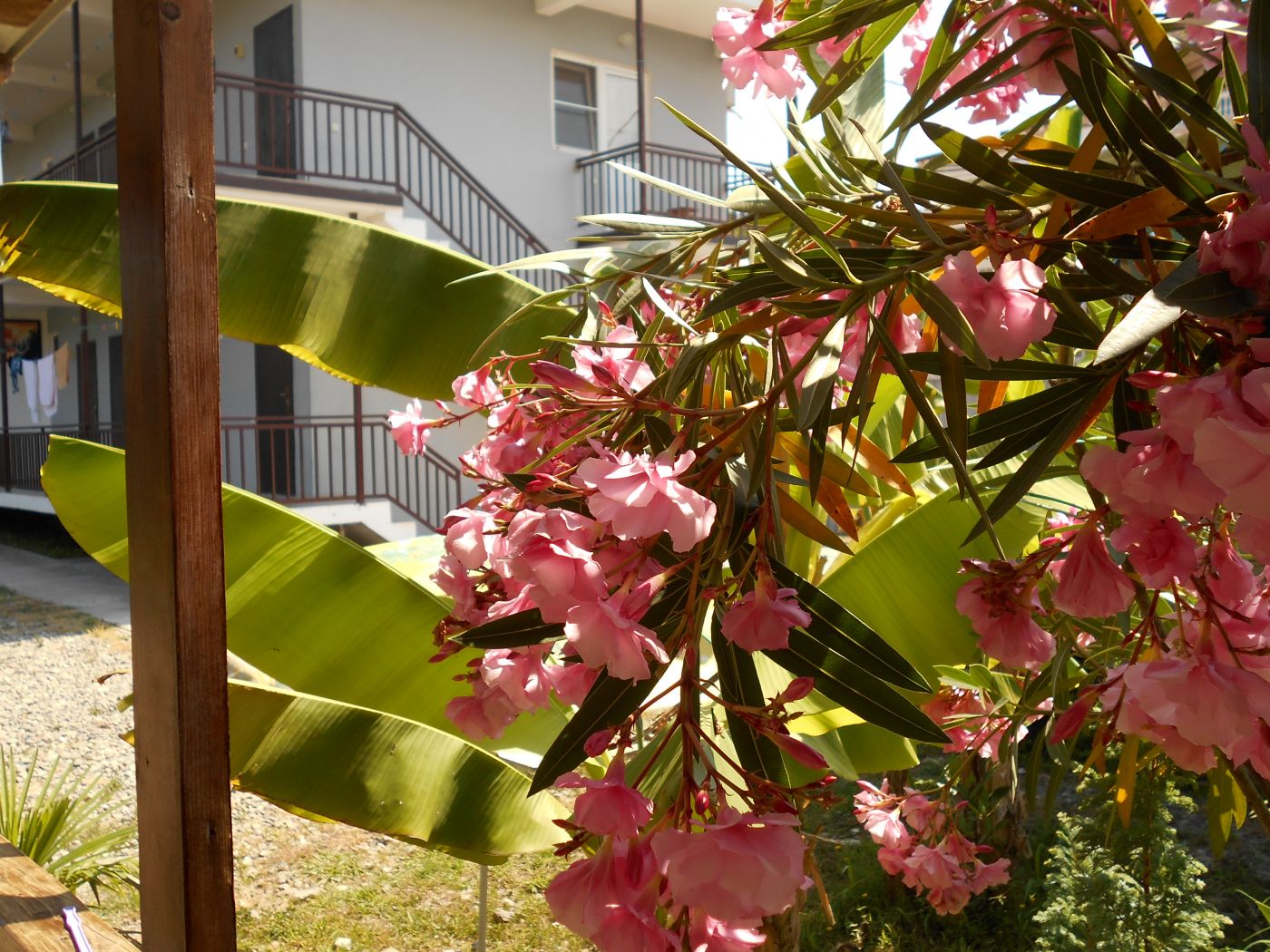 . Гостевой дом "На Главной". Якорная Щель