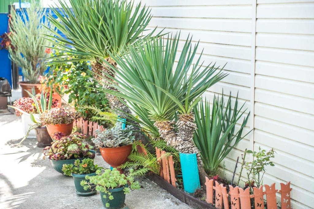 . Гостевой дом «Каравелла». Лермонтово