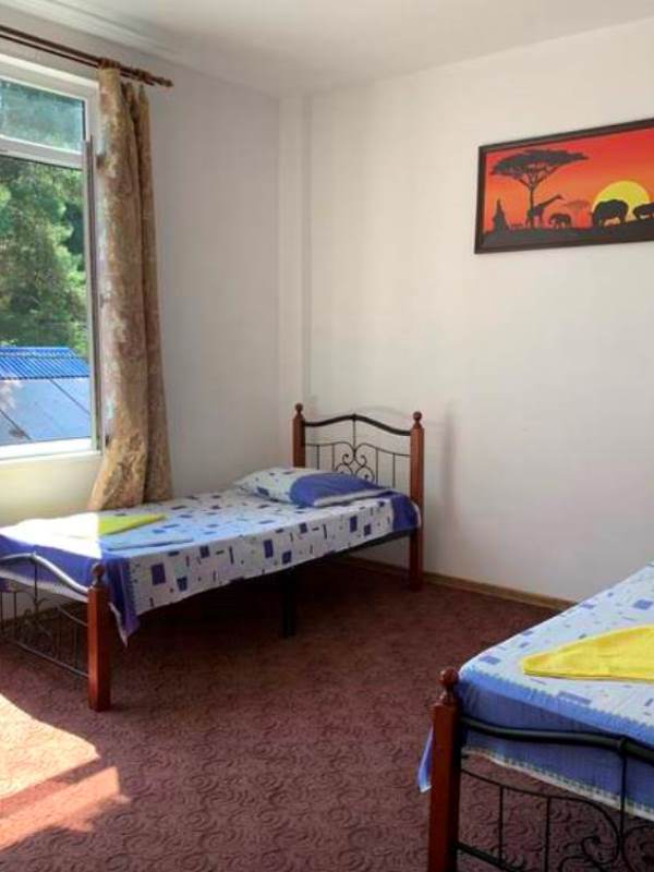 . Гостевой дом "Пицунда". Пицунда