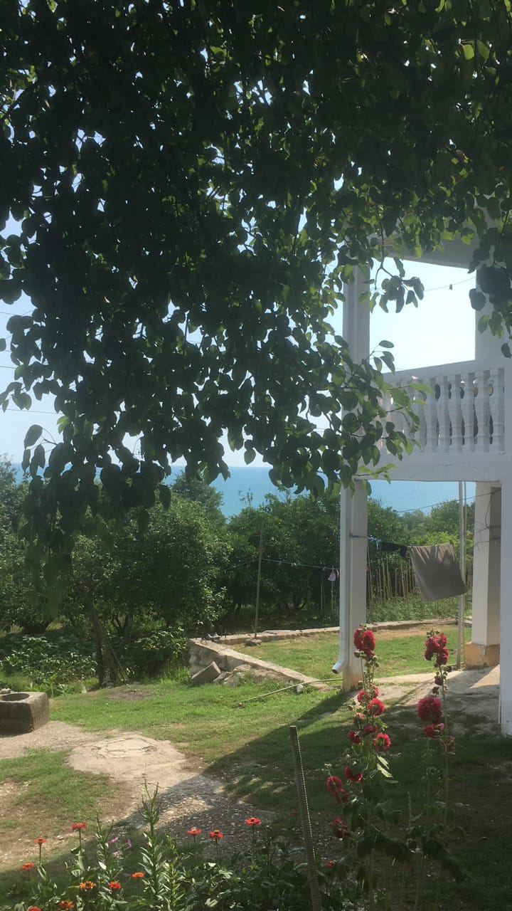 . Гостевой дом "Наира". Новый Афон