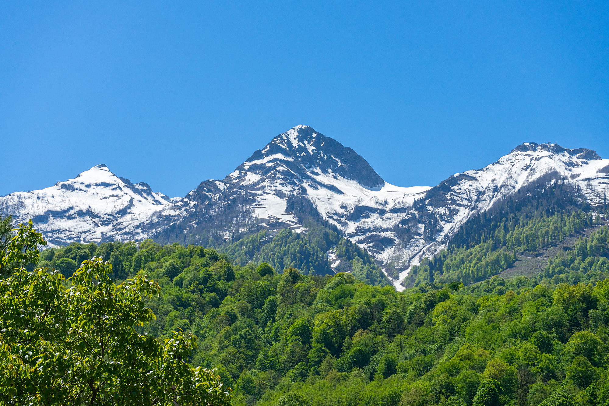 . Апартаменты Deluxe в Эсто-Садок 16. Красная Поляна . Апартаменты Deluxe в Эсто-Садок 16. Красная Поляна