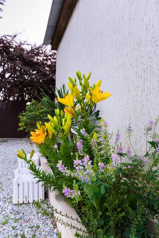 . Гостевой дом «Mari». Джубга