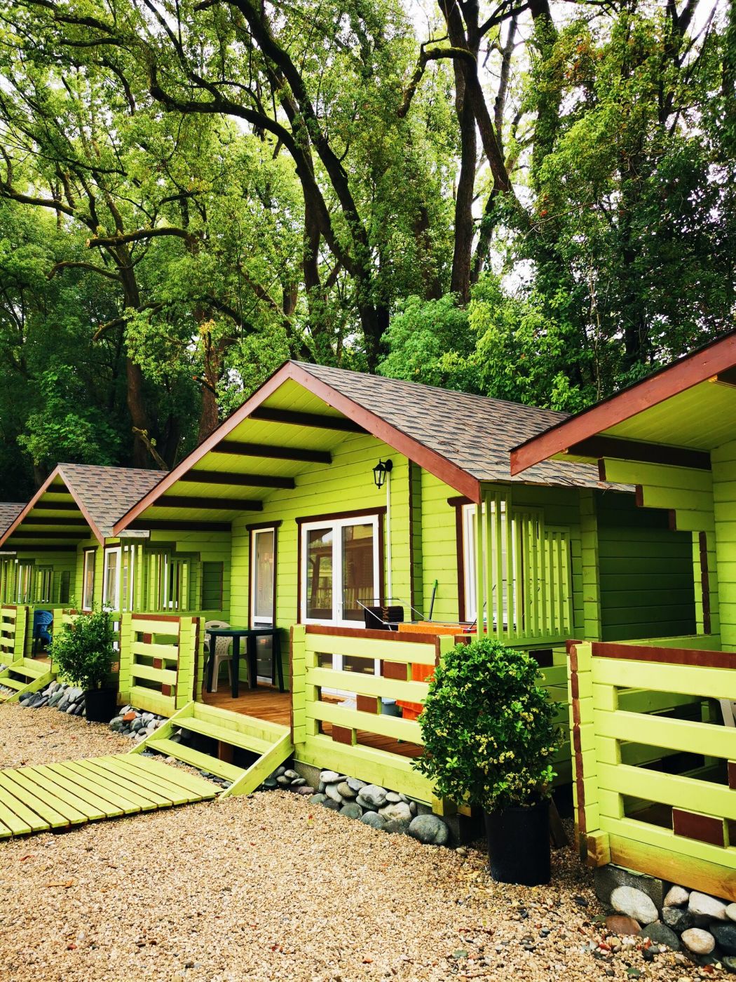 . Гостевой дом САДКО. Пицунда