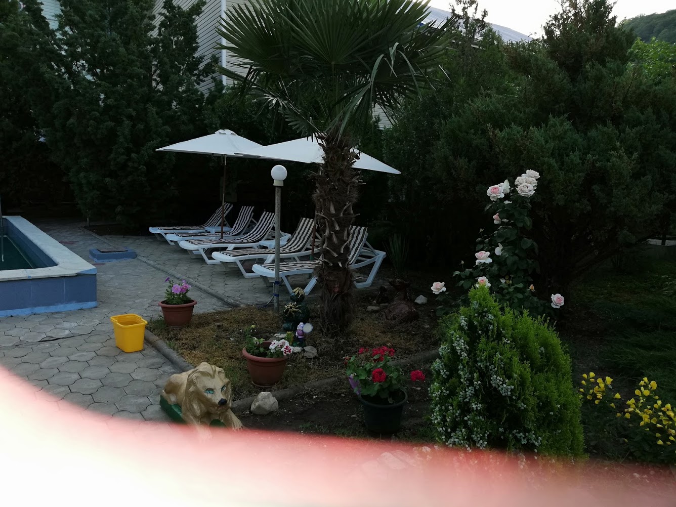 . Гостевой дом "Сибирячка". Ольгинка