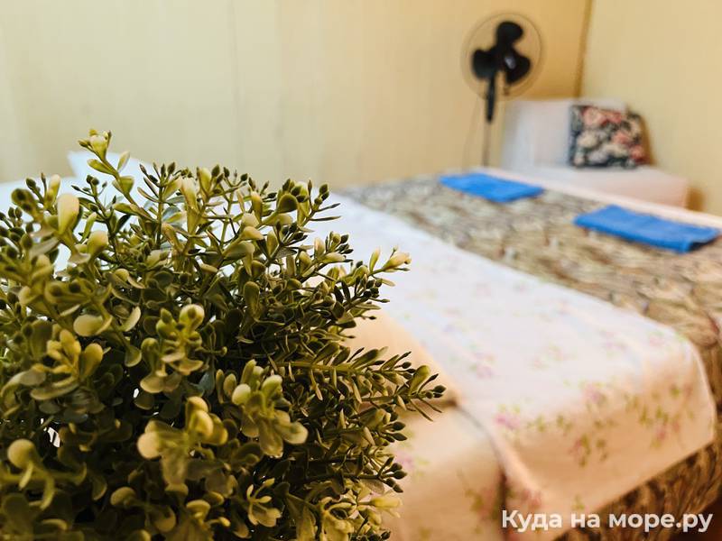 Двухместная с двуспальной кроватью. Гостевой дом "Selena". Анапа
